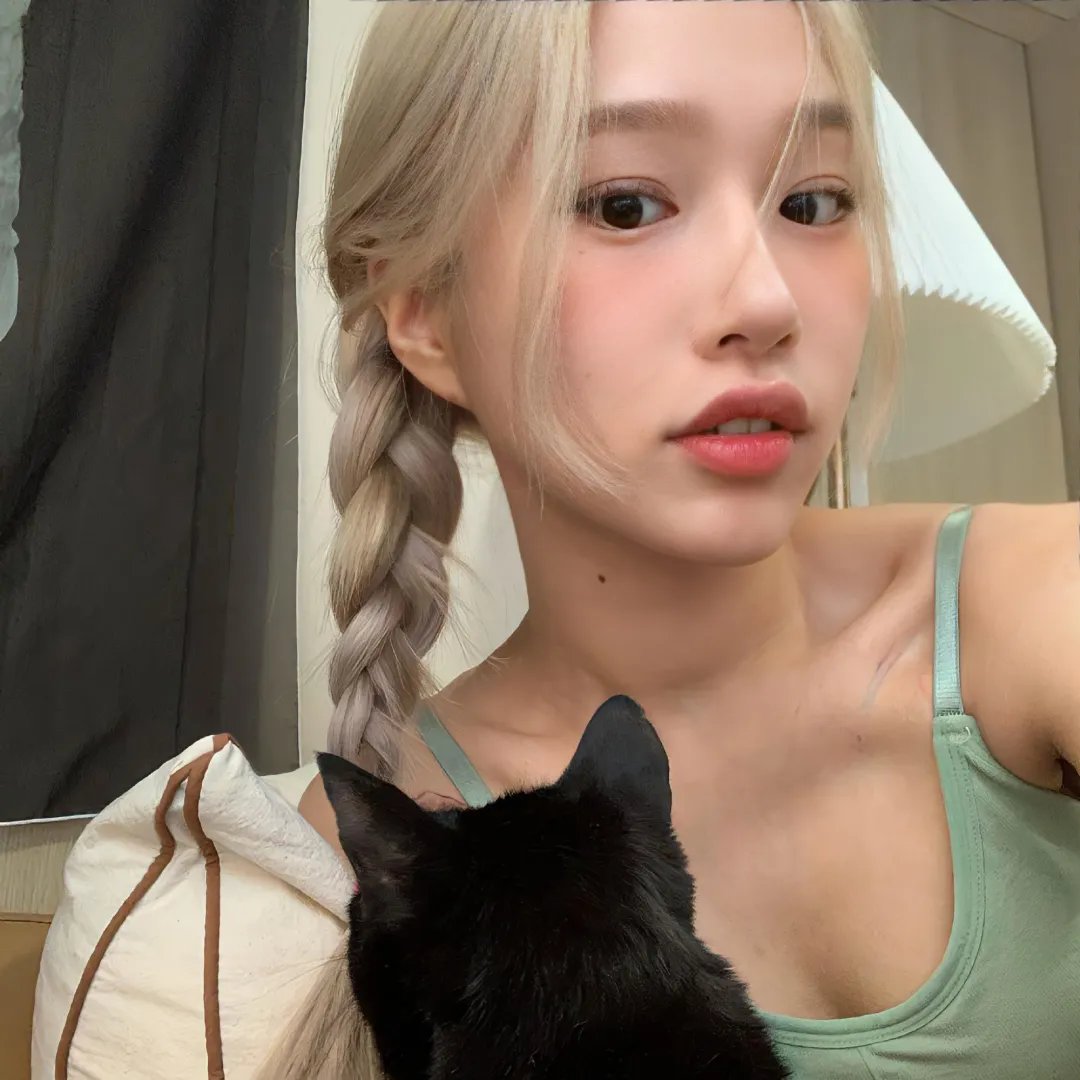 老鼠爱上猫