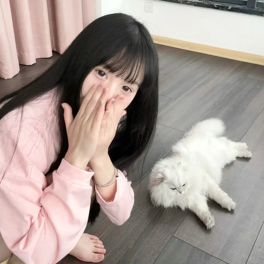 断线森林2